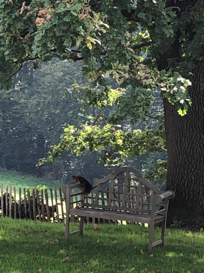 Gartenblick Leichlingen Exterior photo