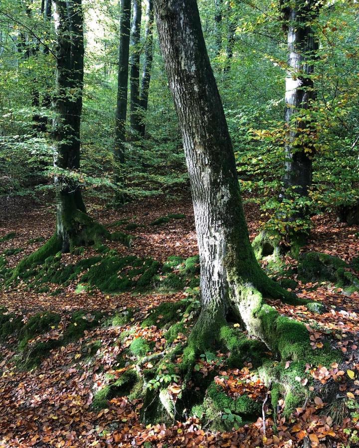 Gartenblick Leichlingen Exterior photo